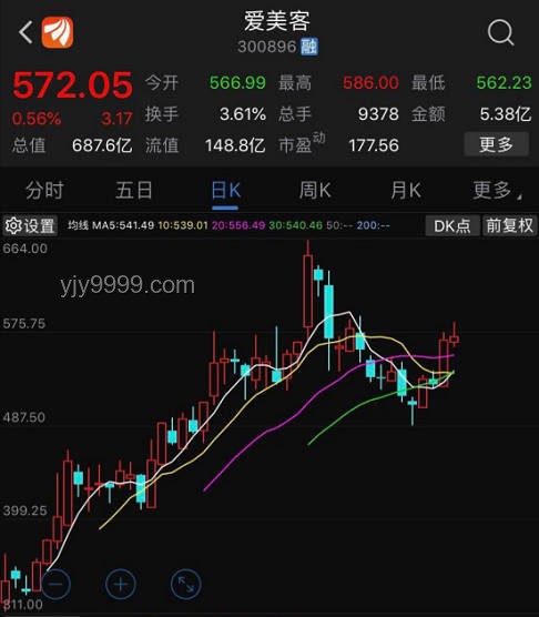 整顿者视角：透视未来趋势，超越“纯牛马”局限